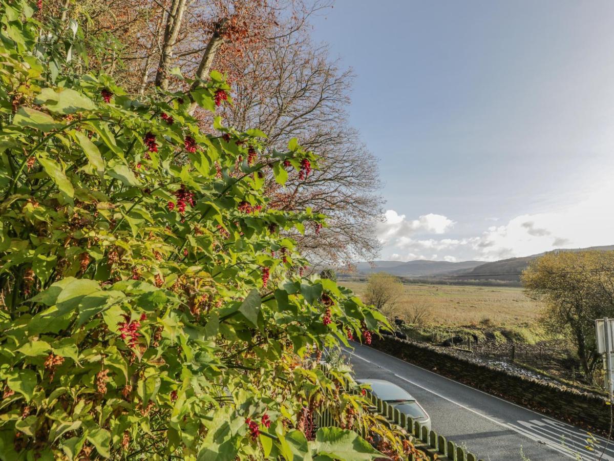 Bryn Melyn Artist'S Cottage Llanelltyd Екстер'єр фото